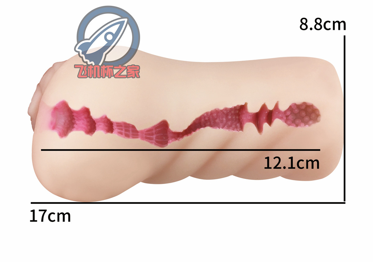 “来得早不如来得巧…”— 本格生素体 葵玲奈（中刺激）评测11