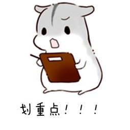 “锻炼的关键是爱心！”—R18评测