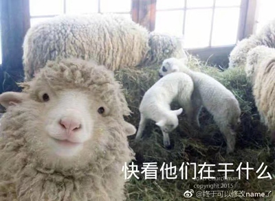 “丝滑白糯紧致初体验。”—狭窄欲女评测