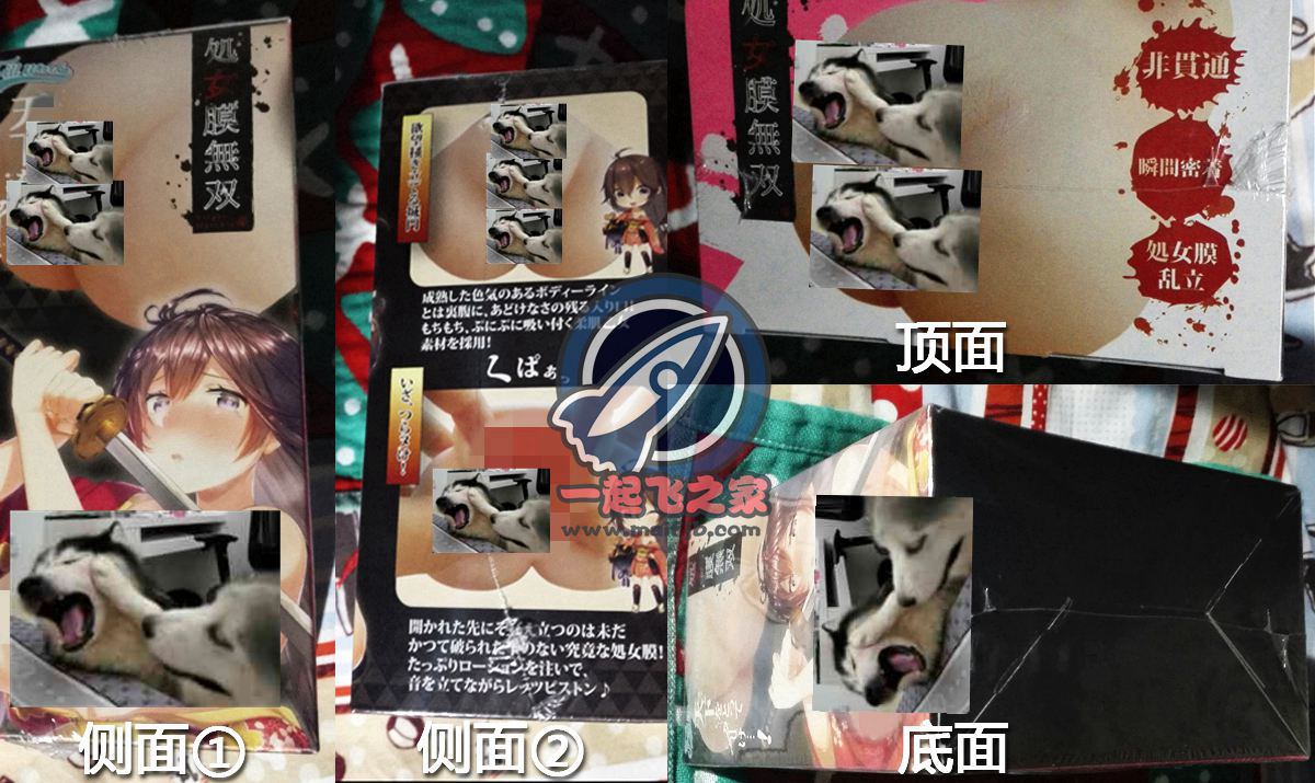 “突破吧！太刀少女~”—*女无双评测2