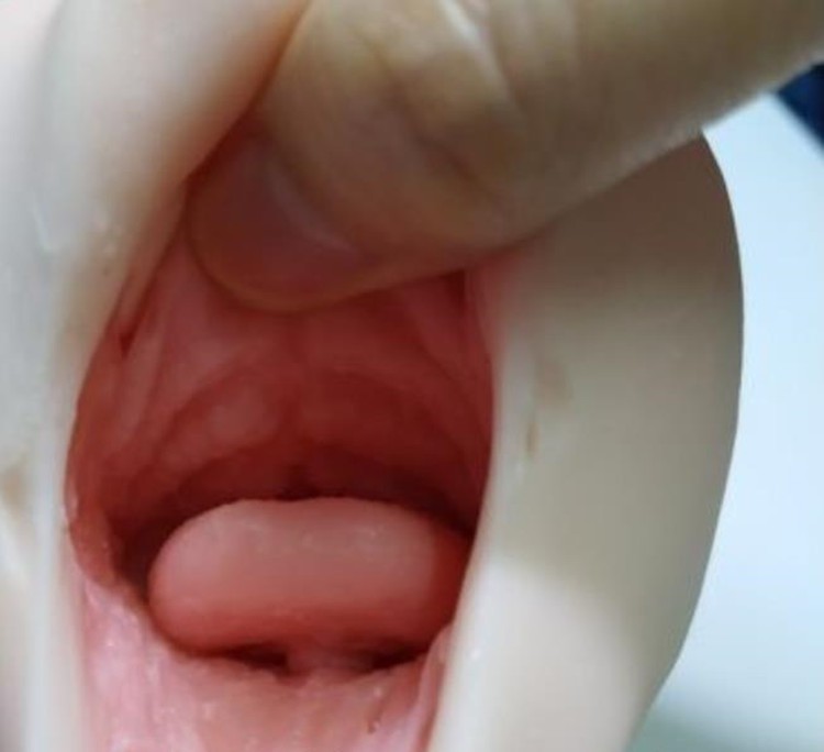 MagicEyes真实之口二代点评,温柔的咬3 MagicEyes真实之口二代点评,温柔的咬3