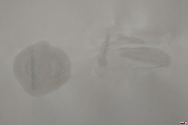 梦想女神泷泽萝拉全自动叫春抽插旋转活塞杯-呻吟、抽插、旋转三大需求一次满足;