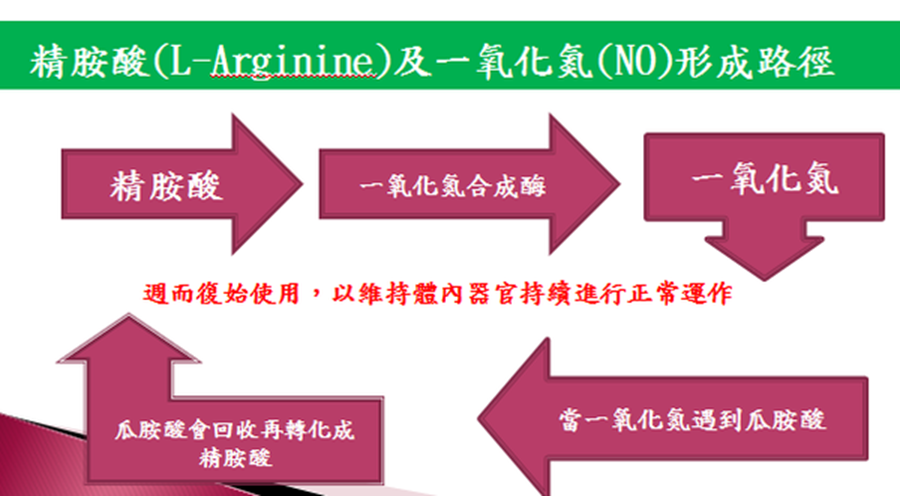日本EXE加藤鹰锻鍊强化液三个实验报你知5 日本EXE加藤鹰锻鍊强化液三个实验报你知