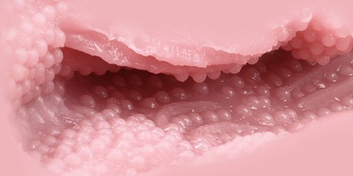 大魔王tomax女神维纳斯系列评测（real，clone，cross）[db:副标题]