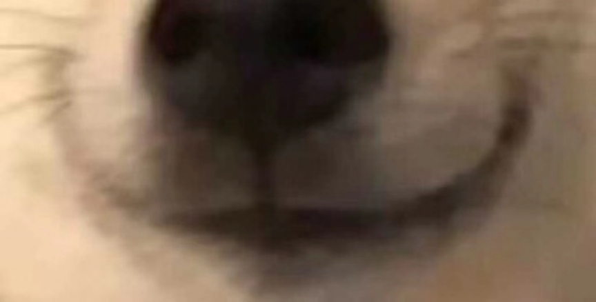 YUU启蒙先辈飞机杯测评 – 明明只是一转眼就过去了，可我却觉得过了一辈子