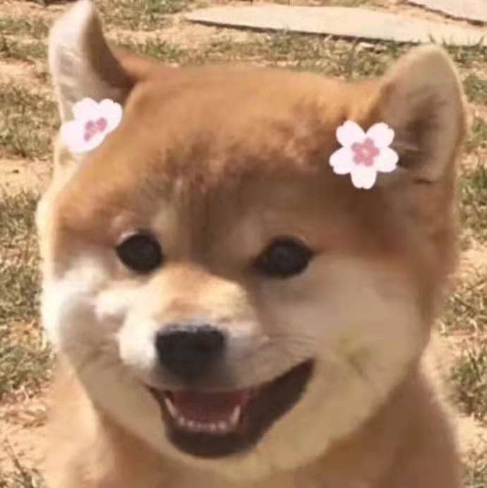 萌慢玩飞机杯名器测评-萌新挚友,超高的性价比,非常适合新入坑的杯友。6 萌慢玩飞机杯名器测评-萌新挚友,超高的性价比,非常适合新入坑的杯友。