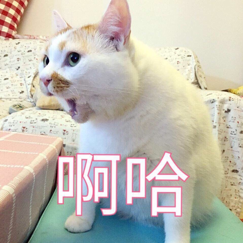 YUU极上双穴飞机杯名器评测 – “这样的女朋友，你喜欢吗”