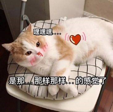 YUU宫花之尻倒模名器评测 – 全新的倒模全新的体验7 YUU宫花之尻倒模名器评测 – 全新的倒模全新的体验