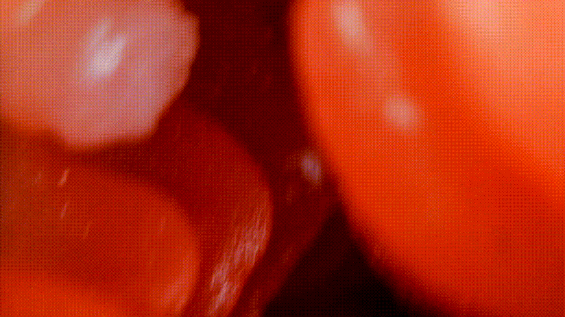 TMT“彼女姐姐”飞机杯评测 – 我拿下女神的秘诀就是它!13 TMT“彼女姐姐”飞机杯评测 – 我拿下女神的秘诀就是它!