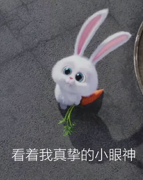 EXE奶瓶1代飞机杯刺激版评测