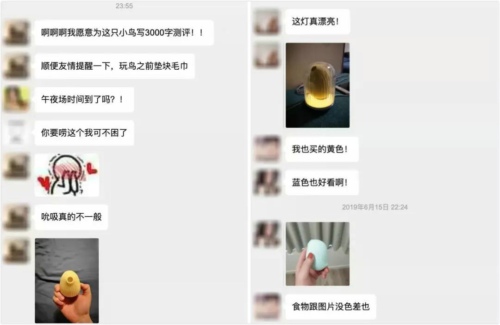 “逗豆鸟”我们大胆的寻找身体的快乐