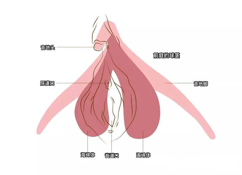 【吴小飘玩测评】拿捏潮chui的神器——姬点波浪棒