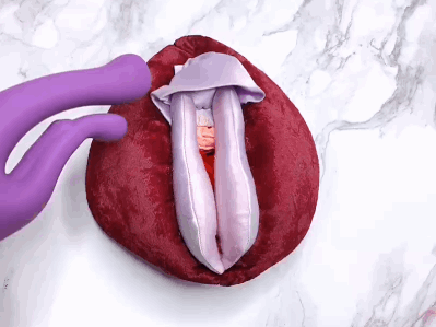 【吴小飘玩测评】拿捏潮chui的神器——姬点波浪棒