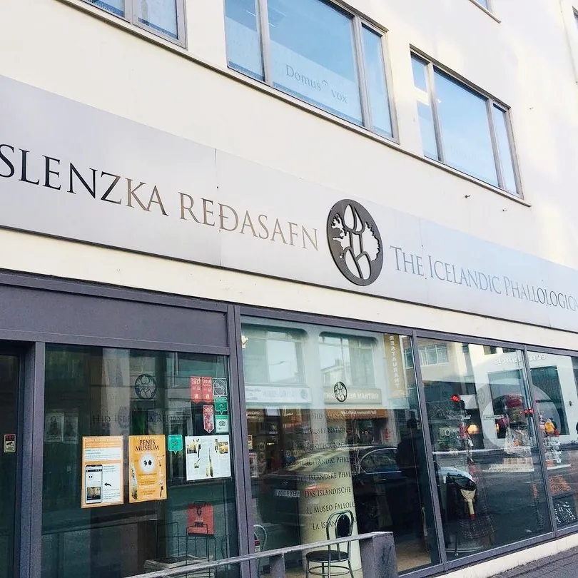 【吴小飘玩测评】神奇丁丁和它的好朋友 【吴小飘玩测评】神奇丁丁和它的好朋友