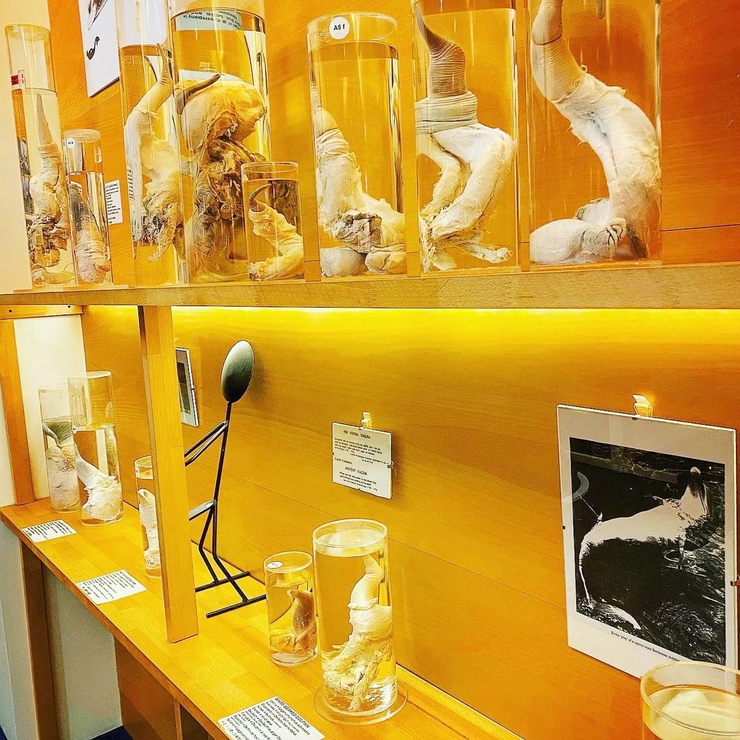 【吴小飘玩测评】神奇丁丁和它的好朋友1 【吴小飘玩测评】神奇丁丁和它的好朋友