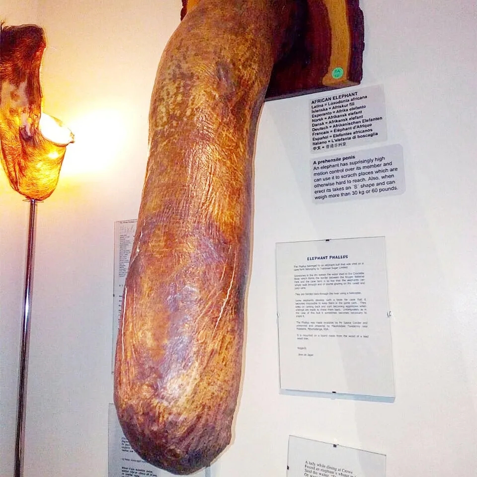 【吴小飘玩测评】神奇丁丁和它的好朋友3 【吴小飘玩测评】神奇丁丁和它的好朋友