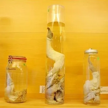 【吴小飘玩测评】神奇丁丁和它的好朋友4 【吴小飘玩测评】神奇丁丁和它的好朋友