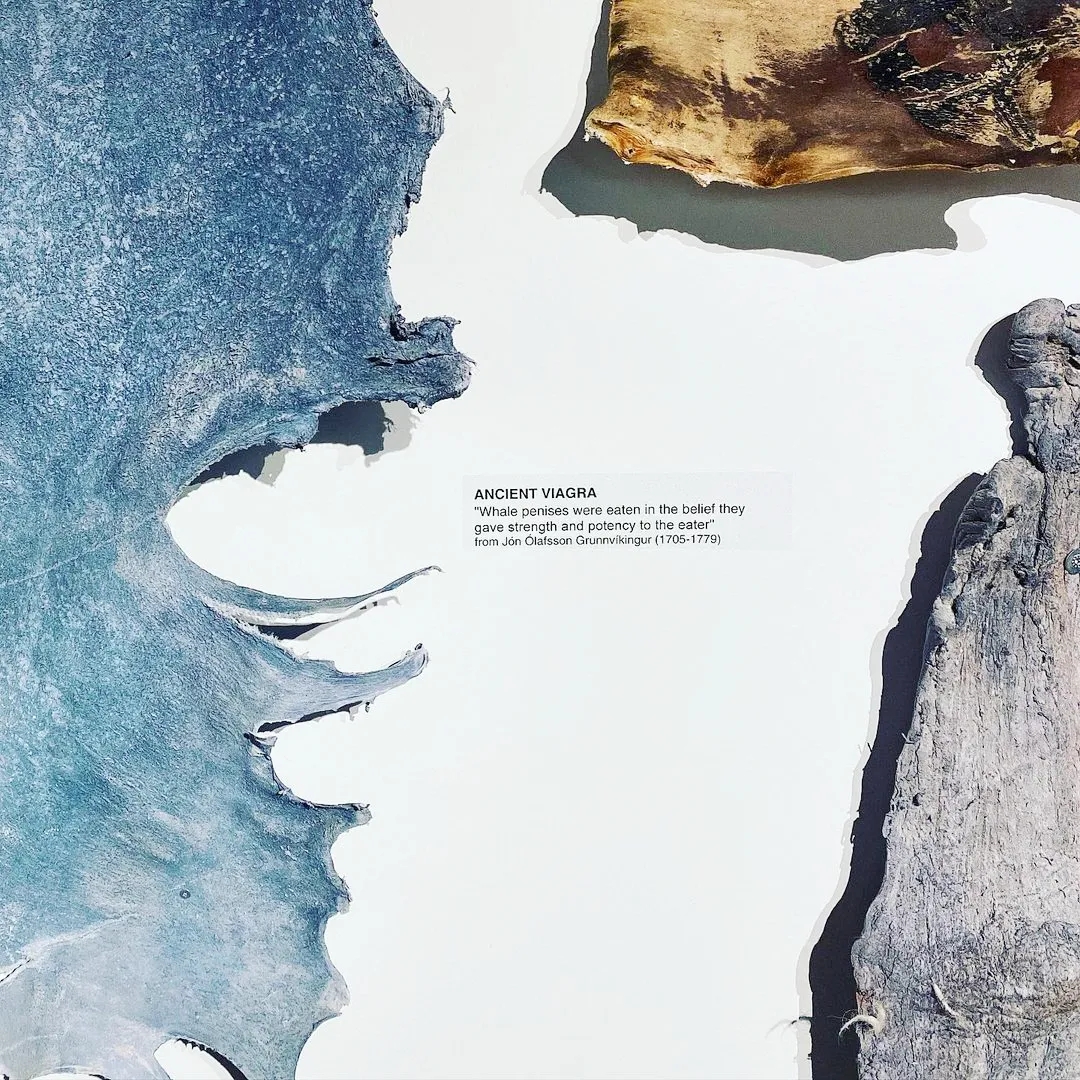 【吴小飘玩测评】神奇丁丁和它的好朋友6 【吴小飘玩测评】神奇丁丁和它的好朋友