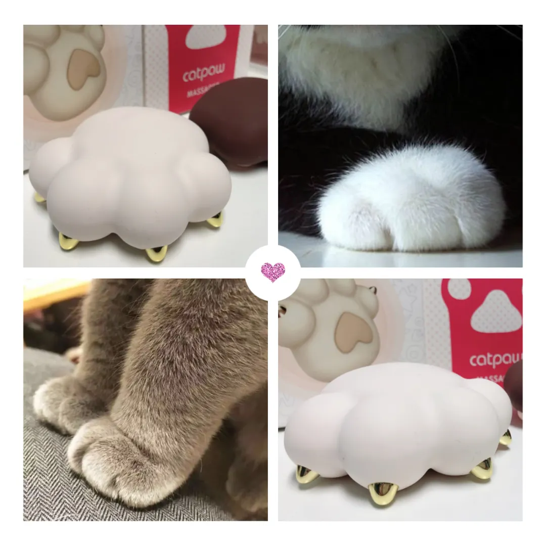 铲屎官别走！看你怎么被我一“掌”制服！