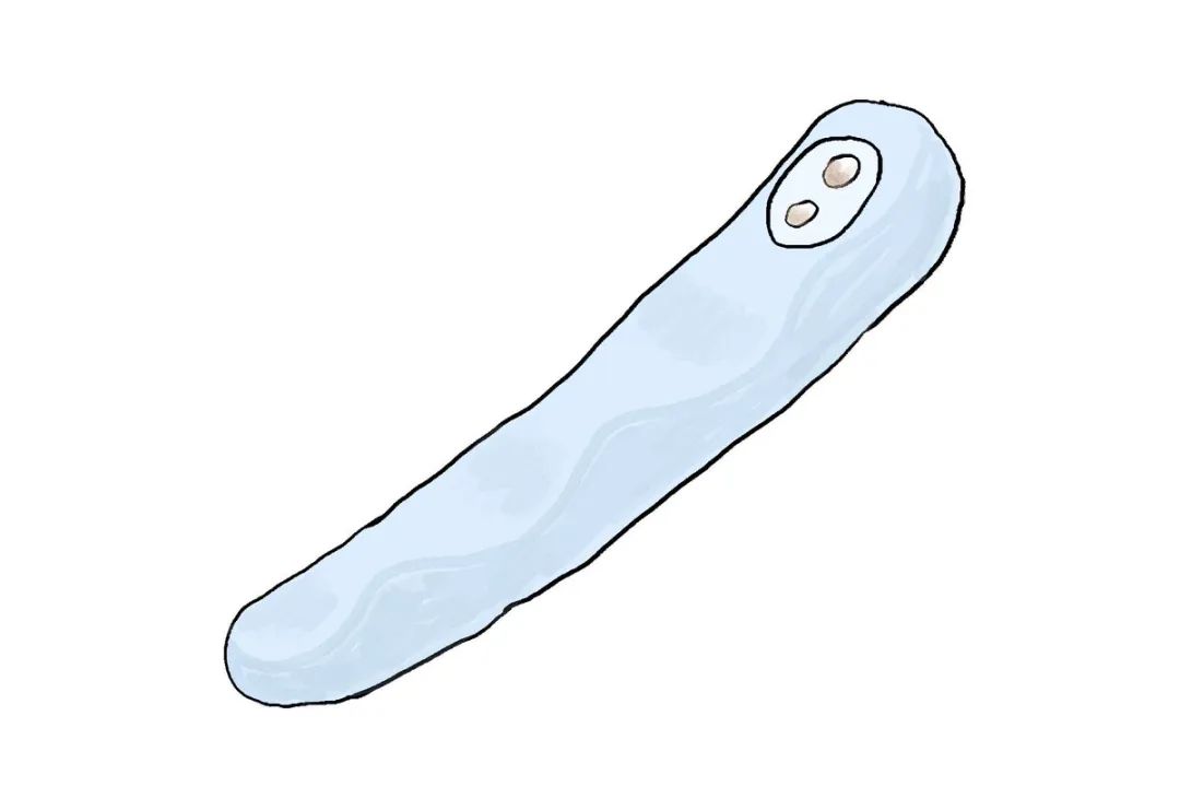 情趣玩具测评— iroha FIT 水中月14 情趣玩具测评— iroha FIT 水中月