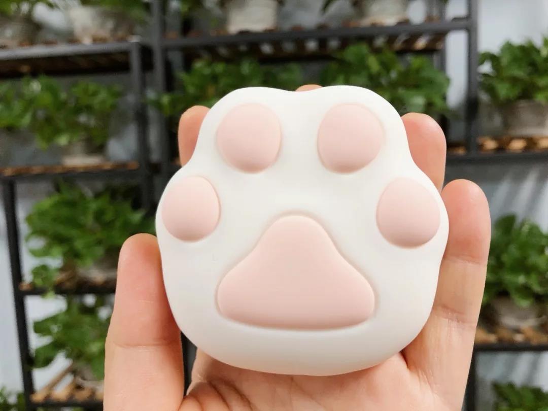 新手推荐：颜值爆棚小猫掌，还是个暖宝宝！