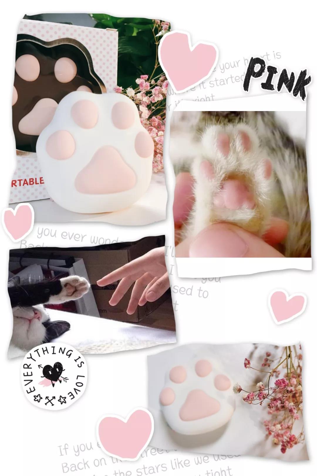 新手推荐：颜值爆棚小猫掌，还是个暖宝宝！