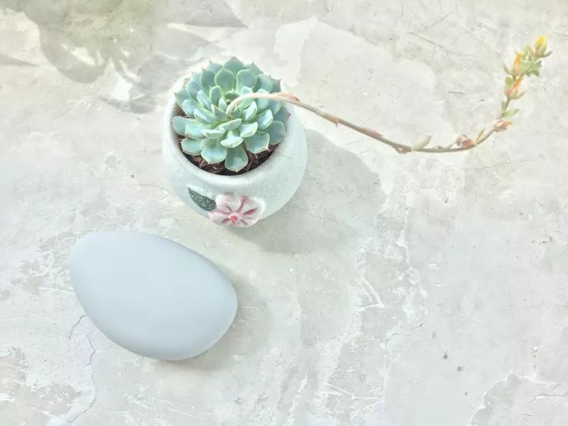 玩测评 | 一朵“祥云”，情趣玩具界的国货之光！