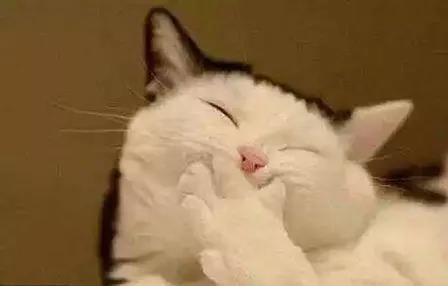 夫妻共震玩具评测：欧亚思A7吮吸震动器